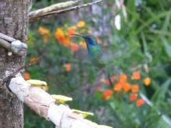 P1050631.JPG P1050631.JPG