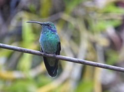 P1050645.JPG P1050645.JPG