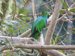 P1050445.JPG P1050445.JPG