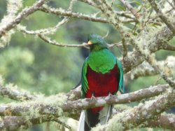 P1050451.JPG P1050451.JPG