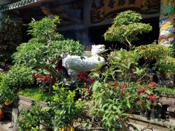 20190306_100039.jpg 20190306_100039.jpg