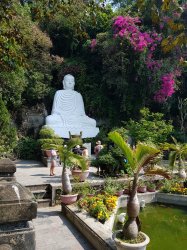 20190306_100347.jpg 20190306_100347.jpg