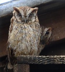 DSC07951.JPG DSC07951.JPG