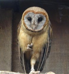 DSC07953.JPG DSC07953.JPG