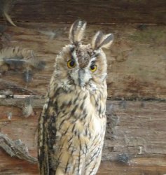 DSC07957.JPG DSC07957.JPG