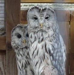 DSC07962.JPG DSC07962.JPG