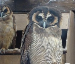 DSC07965.JPG DSC07965.JPG