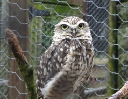 DSC07970.JPG DSC07970.JPG