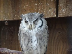 DSC07987.JPG DSC07987.JPG