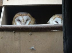 DSC07989.JPG DSC07989.JPG