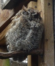 DSC07995.JPG DSC07995.JPG