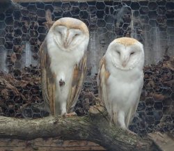 DSC07999.JPG DSC07999.JPG