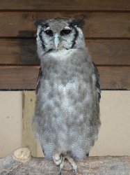 DSC08009.JPG DSC08009.JPG