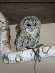 DSC08015.JPG DSC08015.JPG