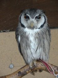 DSC08018.JPG DSC08018.JPG