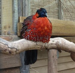 DSC08054.JPG DSC08054.JPG