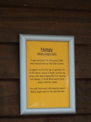 DSC08008.JPG DSC08008.JPG