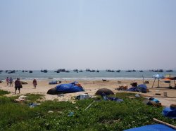 20190306_112742.jpg 20190306_112742.jpg