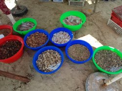 20190306_112923.jpg 20190306_112923.jpg