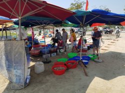 20190306_113047.jpg 20190306_113047.jpg