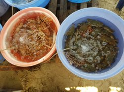 20190306_112946.jpg 20190306_112946.jpg