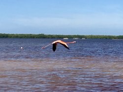 0308D081-62CA-4C4E-84E9-94A93EDCF873.jpeg 0308D081-62CA-4C4E-84E9-94A93EDCF873.jpeg