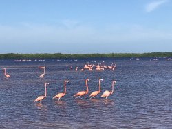 D1249AE8-0322-4579-992B-4473B9CDBDCE.jpeg D1249AE8-0322-4579-992B-4473B9CDBDCE.jpeg