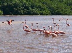 FD5ADCD7-63FB-4990-964B-191383A0B9E2.jpeg FD5ADCD7-63FB-4990-964B-191383A0B9E2.jpeg