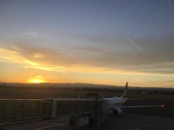 1DCA2AEA-D4E5-4EE7-BA11-FF49D9D134D6.jpeg 1DCA2AEA-D4E5-4EE7-BA11-FF49D9D134D6.jpeg