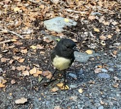 B1C36EB0-05FC-4F08-BF19-668144C2B09A.jpeg B1C36EB0-05FC-4F08-BF19-668144C2B09A.jpeg