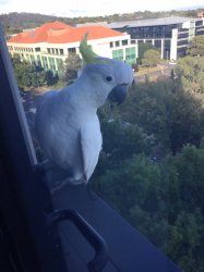 IMG_5898.JPG IMG_5898.JPG