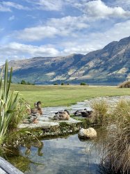 5D3882E9-6DEE-4A68-84A6-68FC0AA0FFE1.jpeg 5D3882E9-6DEE-4A68-84A6-68FC0AA0FFE1.jpeg