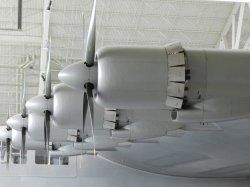 2018 NA Tours SS_120.JPG 2018 NA Tours SS_120.JPG