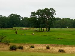 20190308_100217.jpg 20190308_100217.jpg