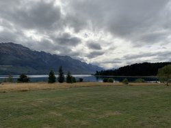 CA54C948-C223-4C78-B74E-0C6DA35355B5.jpeg CA54C948-C223-4C78-B74E-0C6DA35355B5.jpeg