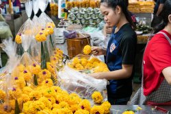 _SHP2656-Web-NM.jpg _SHP2656-Web-NM.jpg