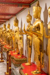 _SHP2674-Web-NM.jpg _SHP2674-Web-NM.jpg