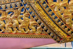 _SHP2729-Web-NM.jpg _SHP2729-Web-NM.jpg