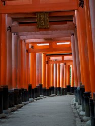 P3052118.jpg P3052118.jpg