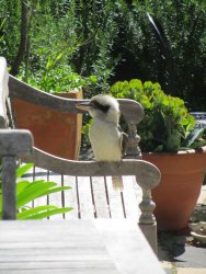 IMG_0721.JPG IMG_0721.JPG