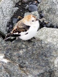 20190411_090239.jpg 20190411_090239.jpg