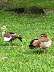 IMG20190424121108.jpg IMG20190424121108.jpg