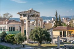 _SHP2905-Web-NM.jpg _SHP2905-Web-NM.jpg