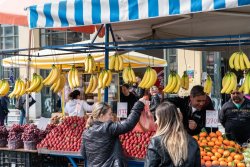 _SHP2972-Web-NM.jpg _SHP2972-Web-NM.jpg