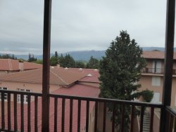 P1200016.JPG P1200016.JPG