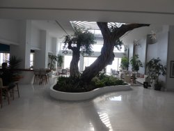 P1200199.JPG P1200199.JPG