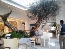 20190506_201538.jpg 20190506_201538.jpg