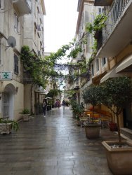 P1200074.JPG P1200074.JPG