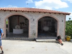 P1200146.JPG P1200146.JPG