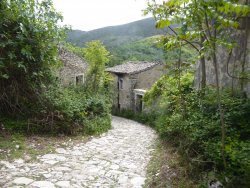 P1200272.JPG P1200272.JPG